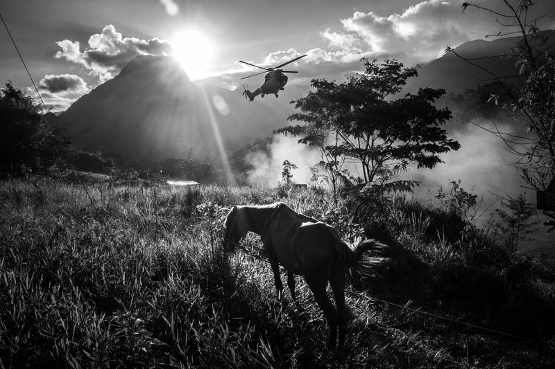 883aa797-d85e-4d1e-b700-6cfe09ed0669